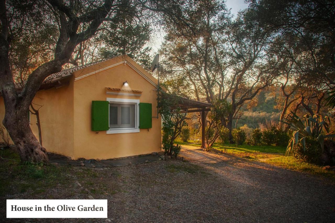 House In The Olive Garden Apartment Ágios Ioánnis Exterior foto