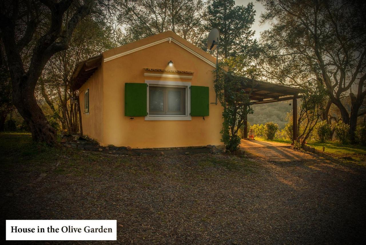 House In The Olive Garden Apartment Ágios Ioánnis Exterior foto