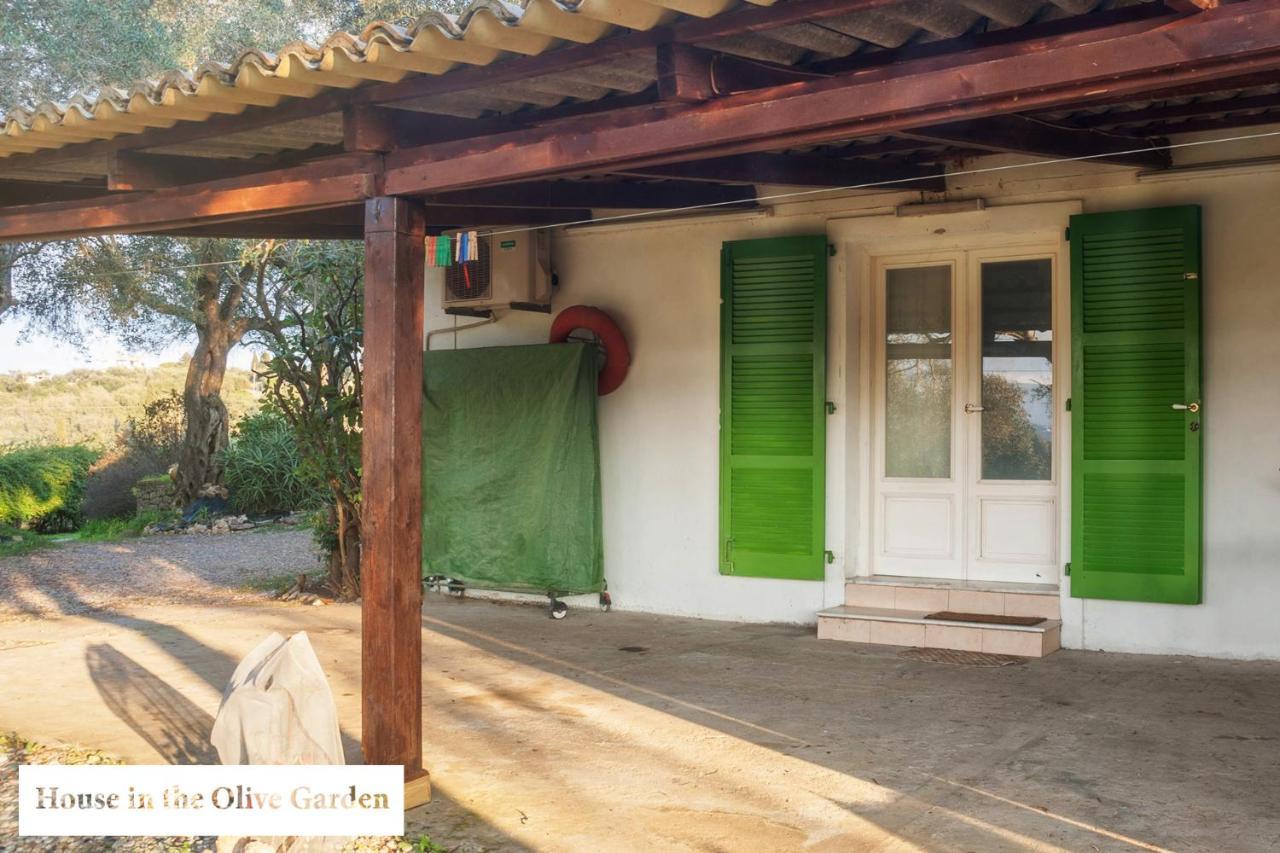 House In The Olive Garden Apartment Ágios Ioánnis Exterior foto