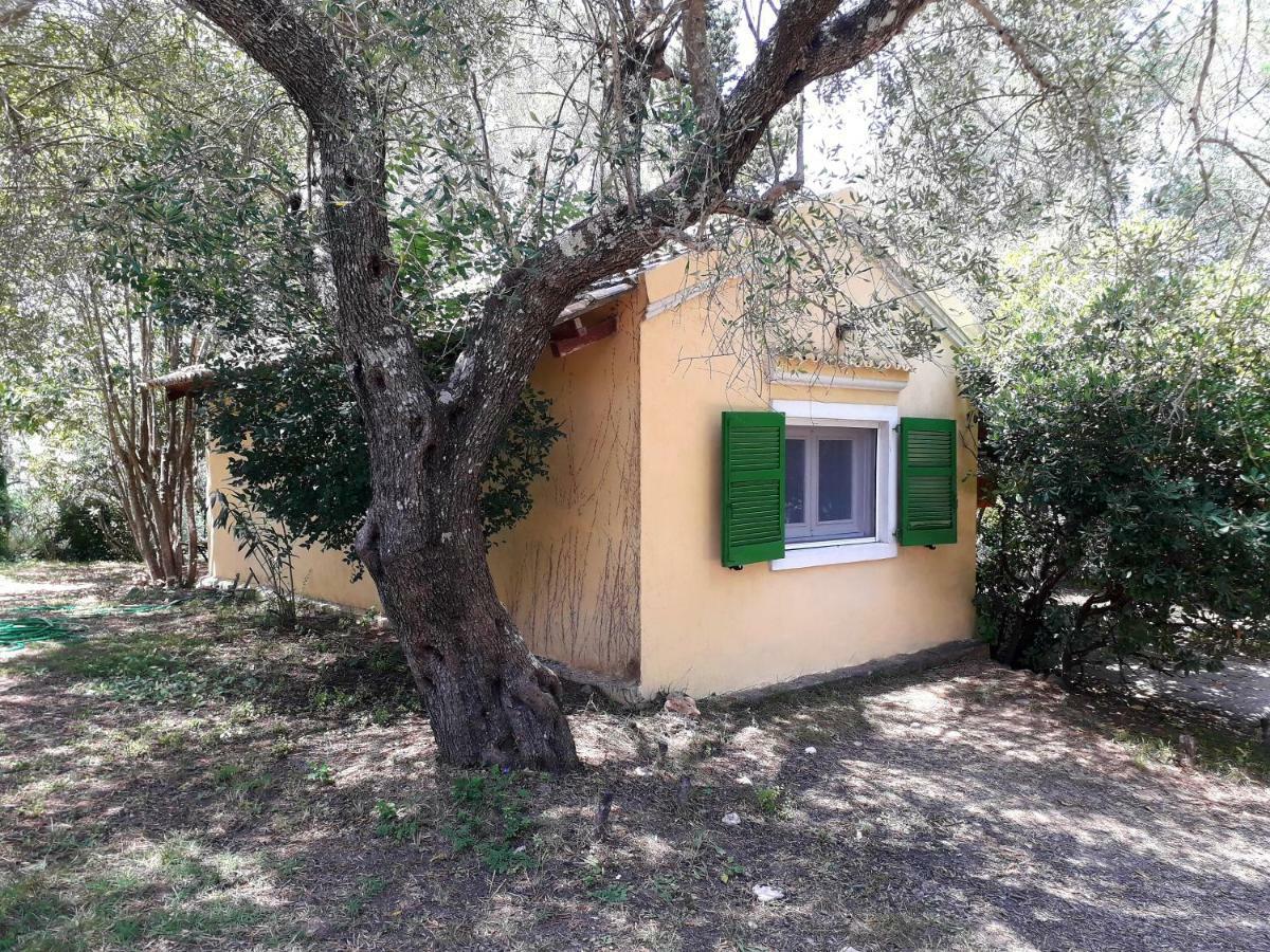 House In The Olive Garden Apartment Ágios Ioánnis Exterior foto