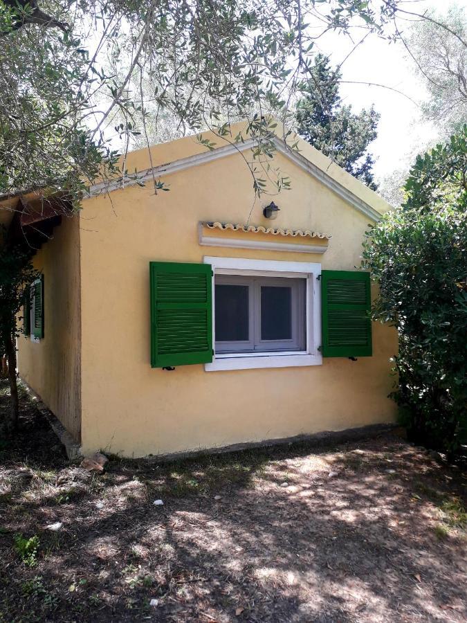House In The Olive Garden Apartment Ágios Ioánnis Exterior foto